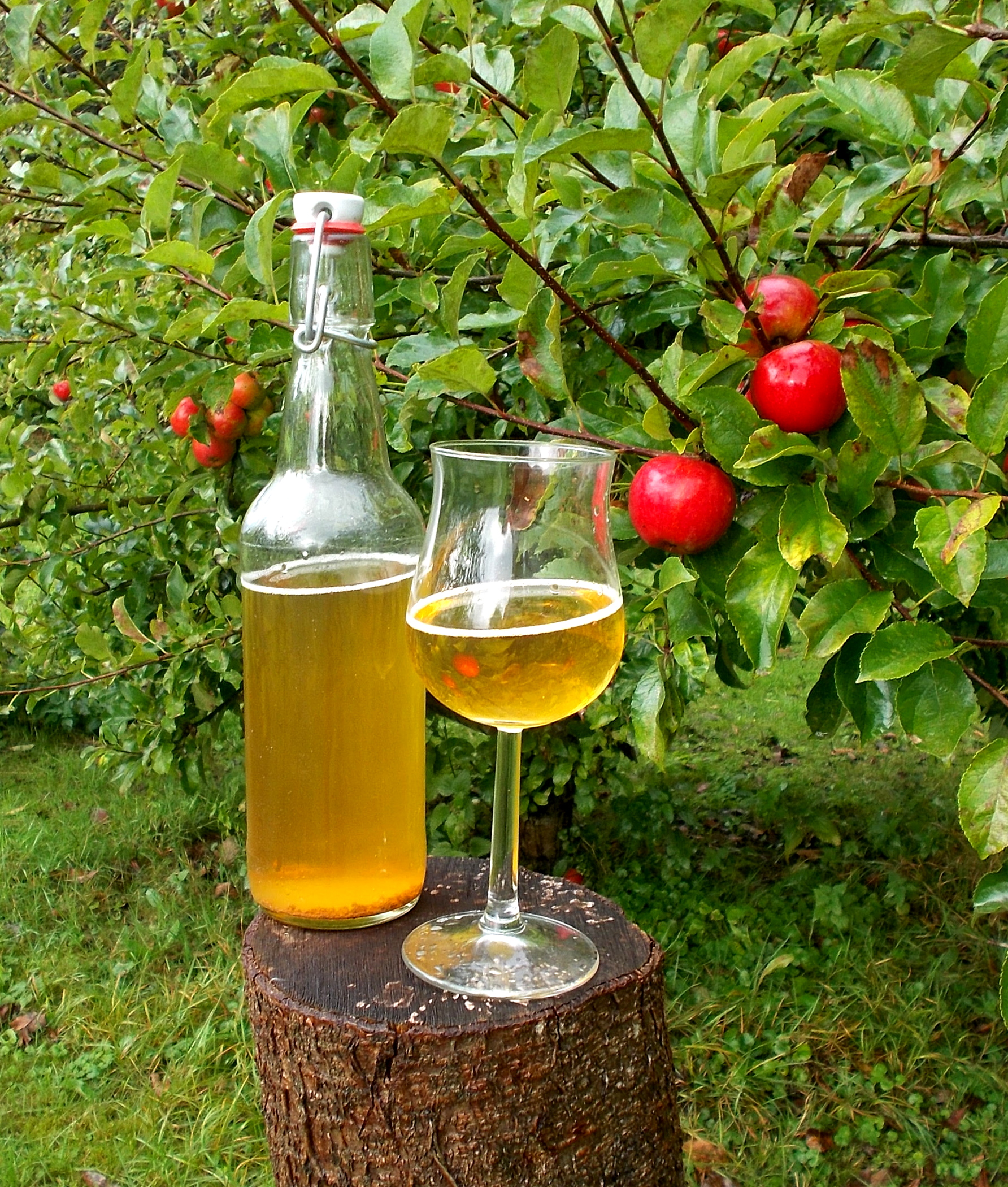 cider