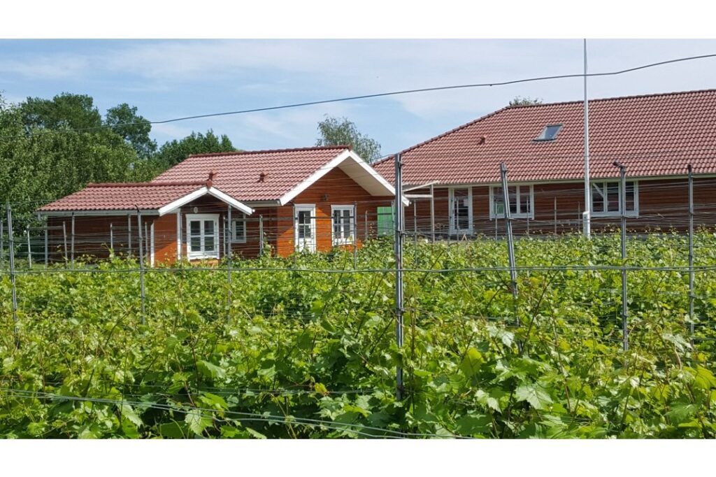 Domaine Nyballe