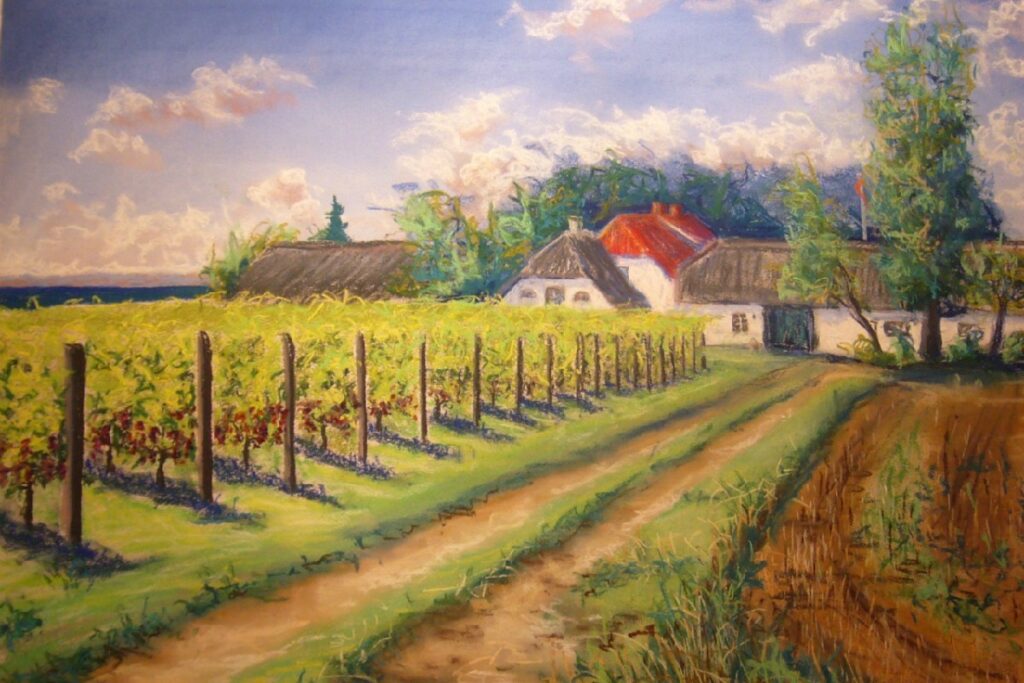 Kimesbjerggaard Vingaard