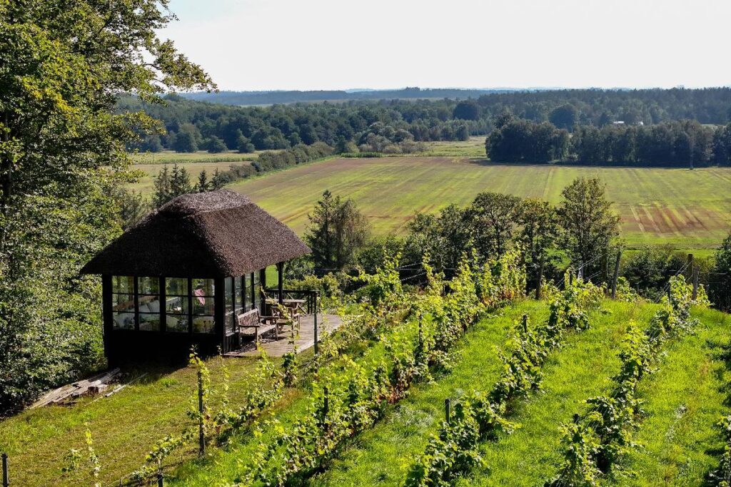 Koruplund Vingård