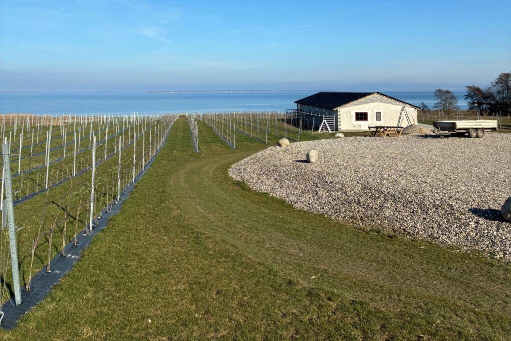 Svennesmølle vingård